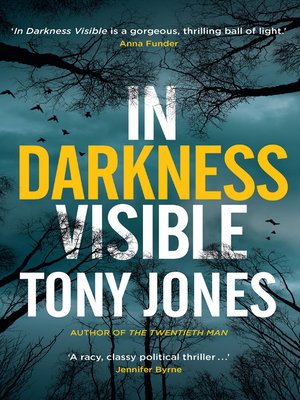 cover image of In Darkness Visible